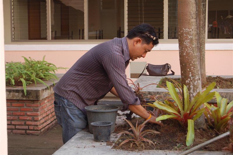 ../Picture/2552/DSC_0032 (Medium).JPG